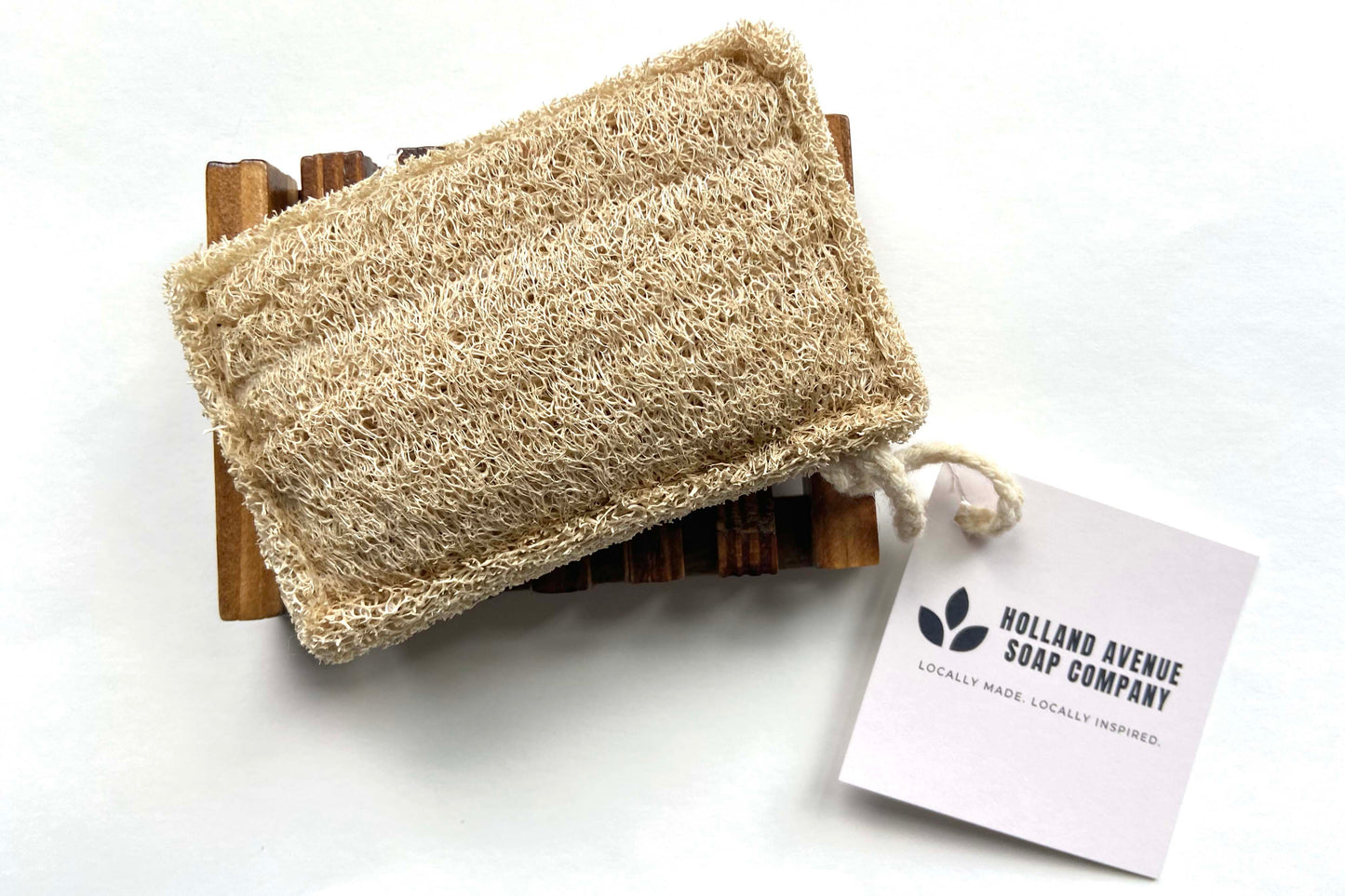 Biodegradable Loofah Sponge